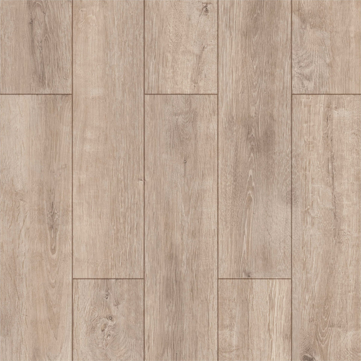 Acar Meşe - 5004